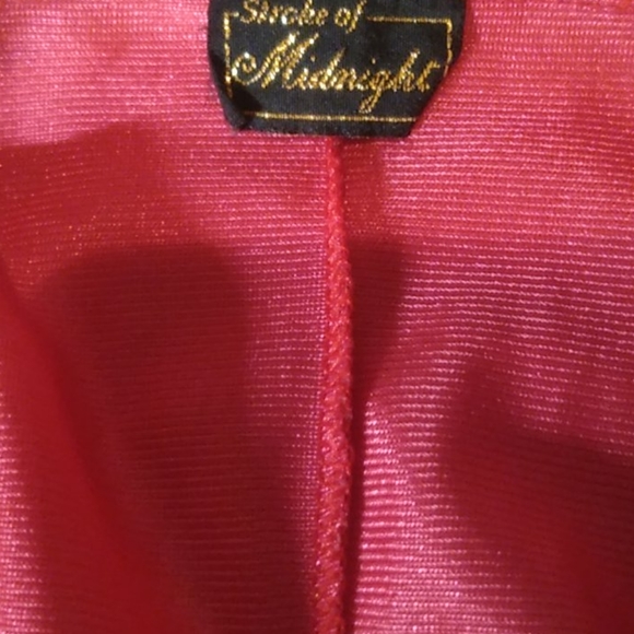 Teddy - Picture 7 of 8